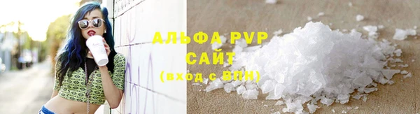 прущие грибы Алзамай