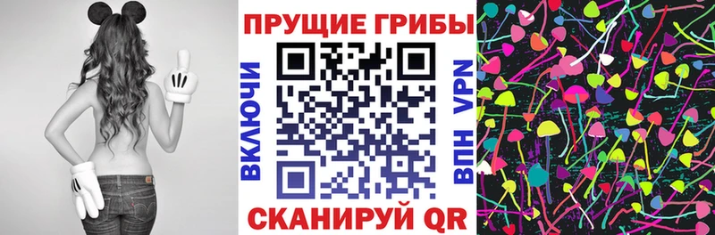 Галлюциногенные грибы GOLDEN TEACHER  Бахчисарай 